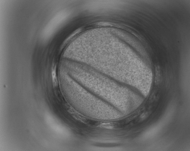 X0000076031198200610201819