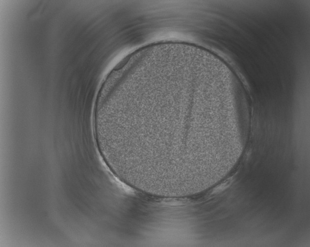 X0000076031199200610201819