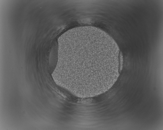 X0000076031201200610201818