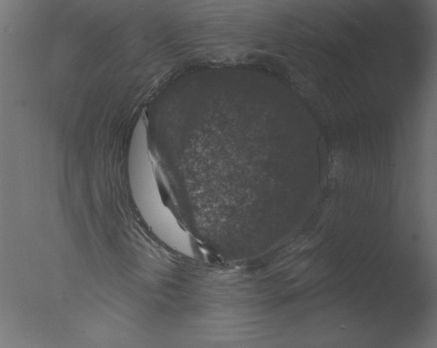 X0000076031202200610201818