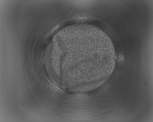 X0000076031204200610201818