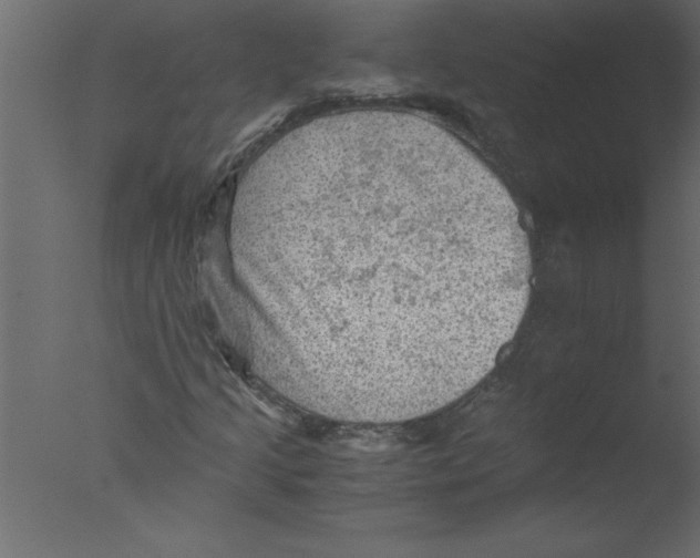 X0000076031205200610201818