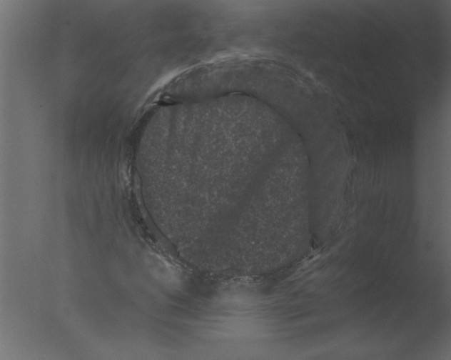 X0000076031206200610201818