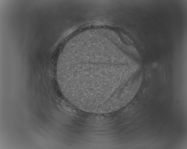 X0000076031207200610201818