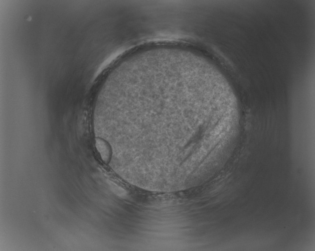 X0000076031208200610201818