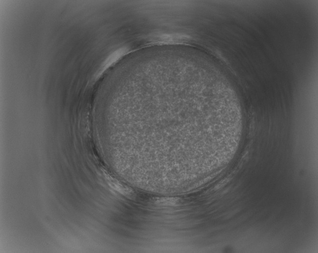 X0000076031211200610201818