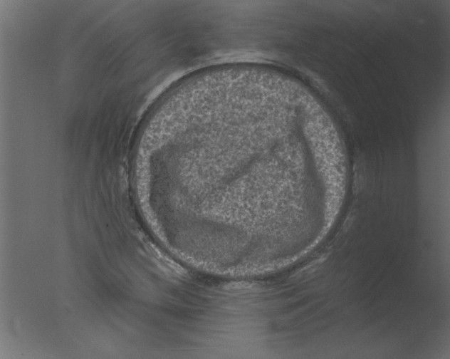 X0000076031212200610201818