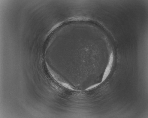 X0000076031213200610201818