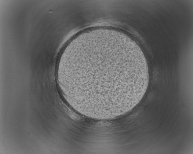 X0000076031216200610201818