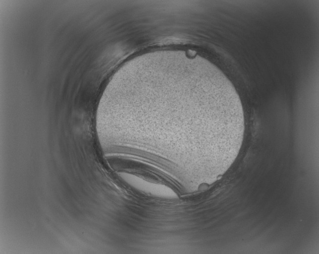 X0000076031217200610201818