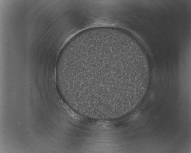 X0000076031220200610201818