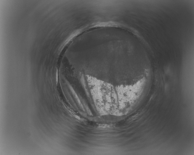 X0000076031221200610201818