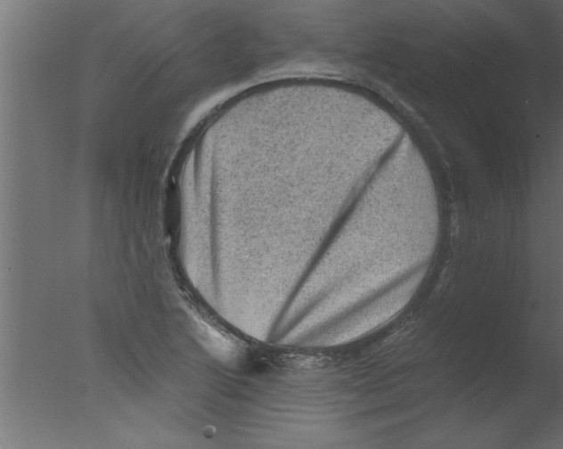 X0000076031222200610201818