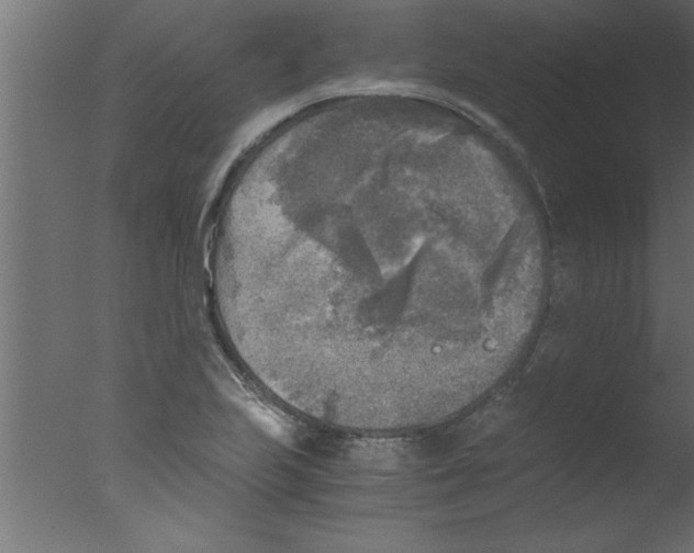 X0000076031223200610201818