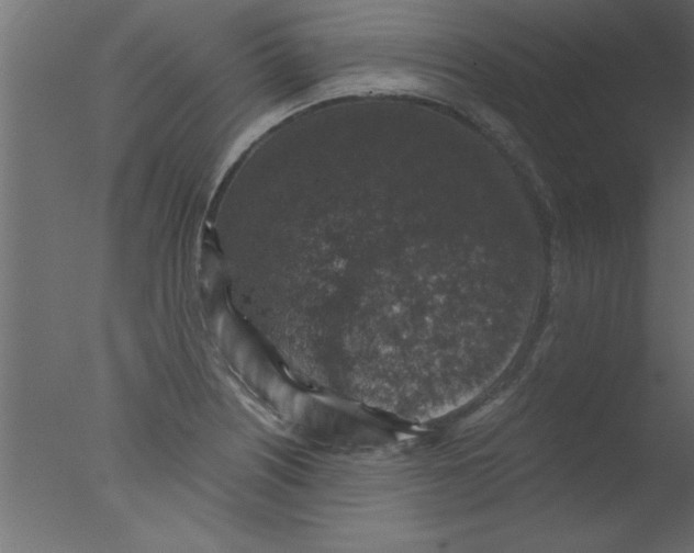 X0000076031226200610201818