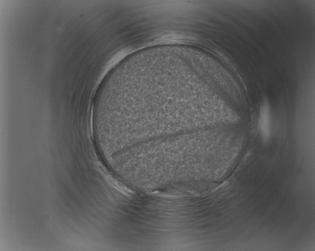 X0000076031227200610201818