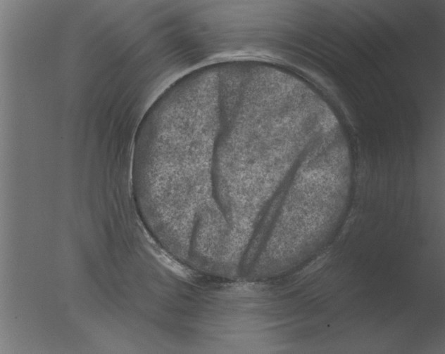 X0000076031228200610201818