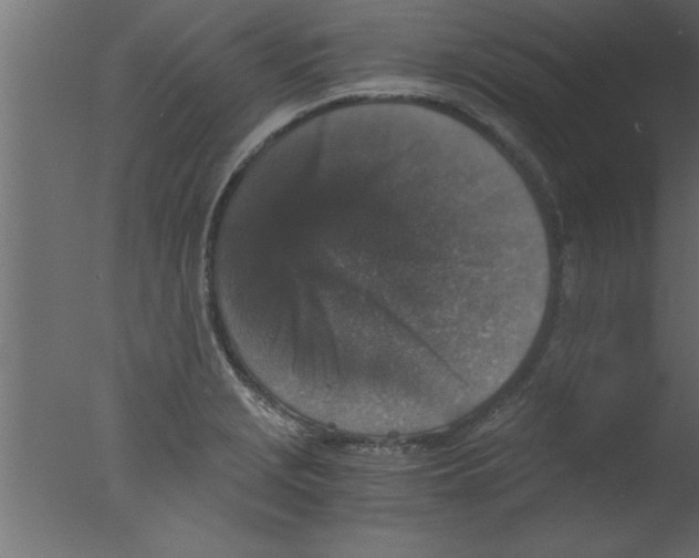 X0000076031229200610201818