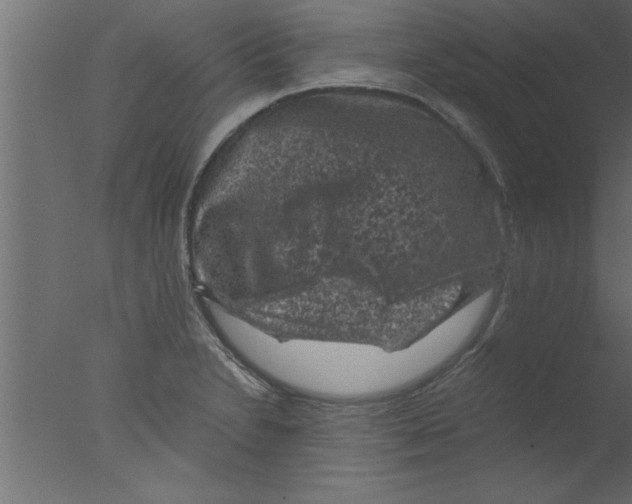 X0000076031230200610201818