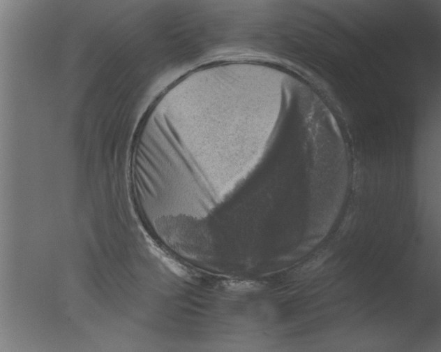 X0000076031231200610201818