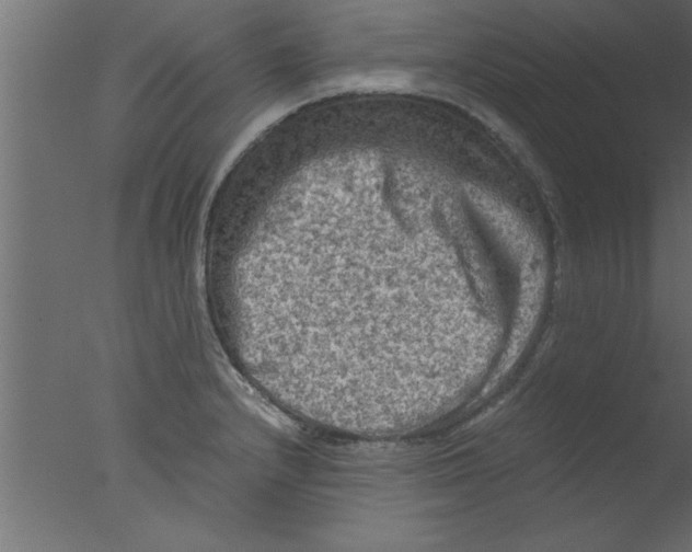 X0000076031232200610201818