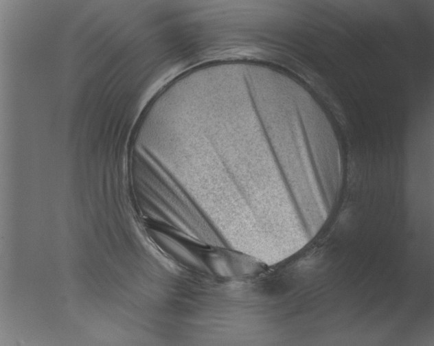 X0000076031234200610201818