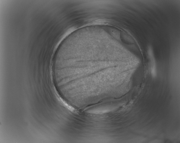 X0000076031235200610201819