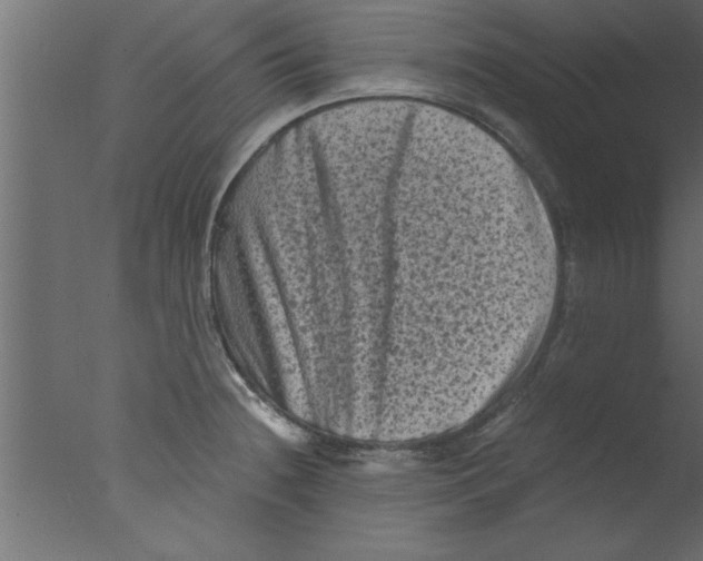 X0000076031236200610201819