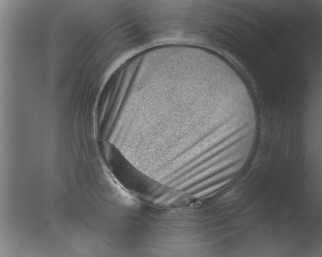 X0000076031238200610201819