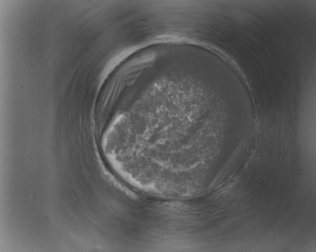 X0000076031239200610201819