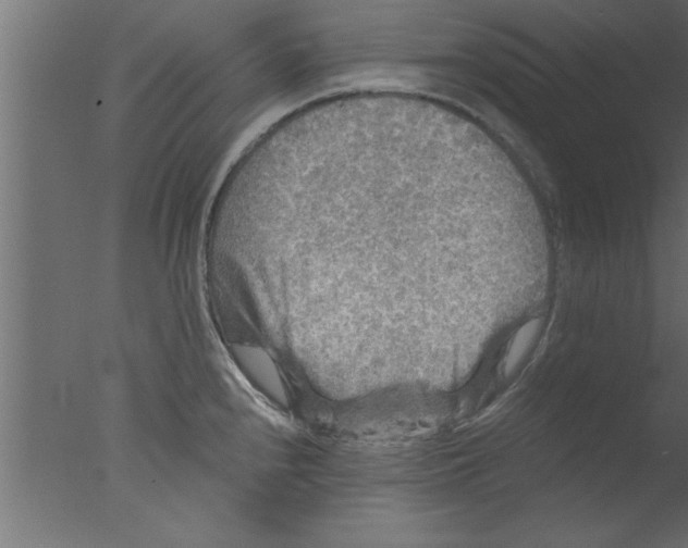 X0000076031240200610201819