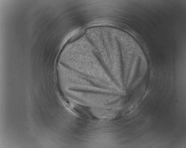 X0000076031242200610201819