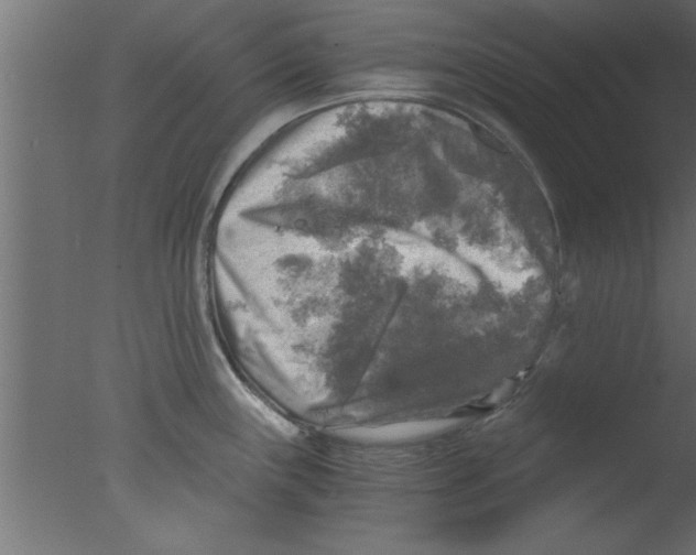 X0000076031243200610201819