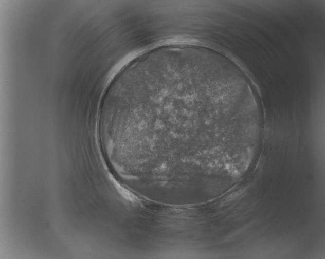 X0000076031245200610201819