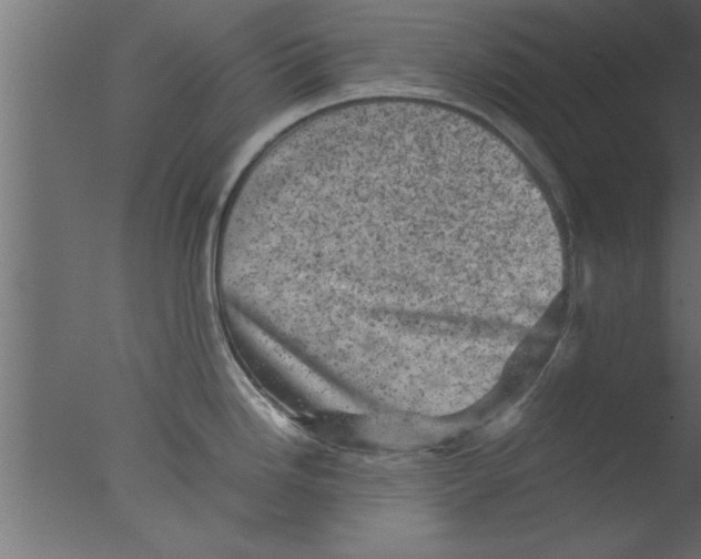 X0000076031246200610201819