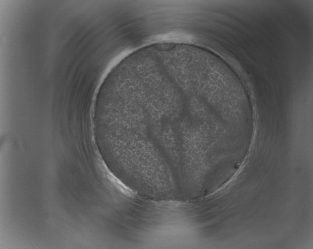 X0000076031248200610201819