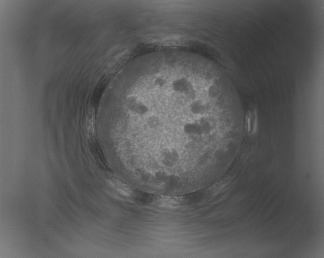 X0000076031251200610201818