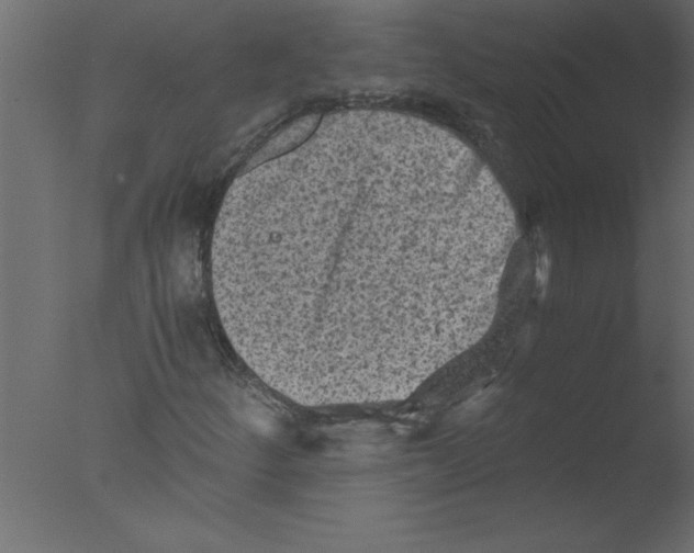 X0000076031252200610201818