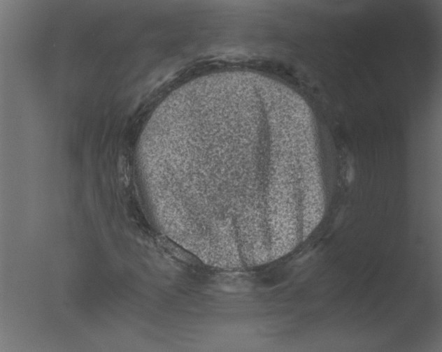 X0000076031253200610201818