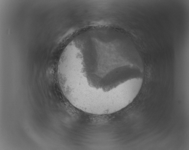 X0000076031254200610201818