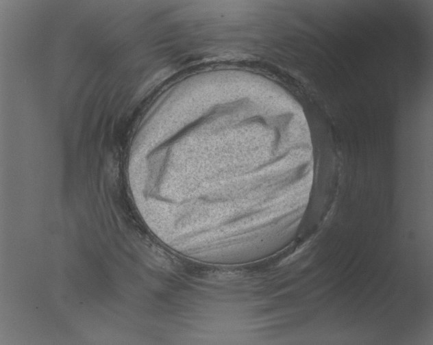 X0000076031257200610201818