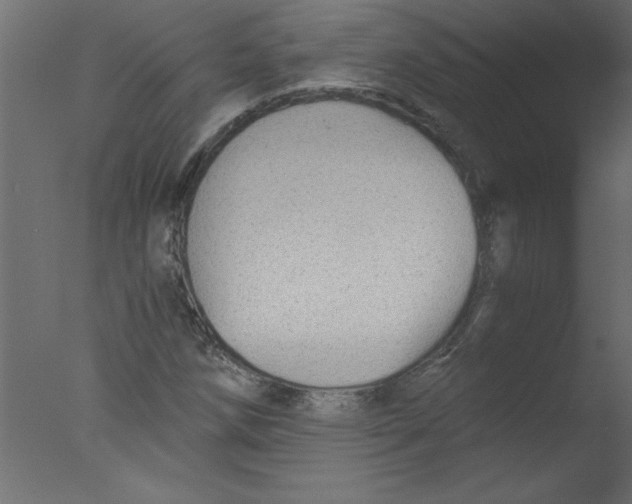 X0000076031258200610201818