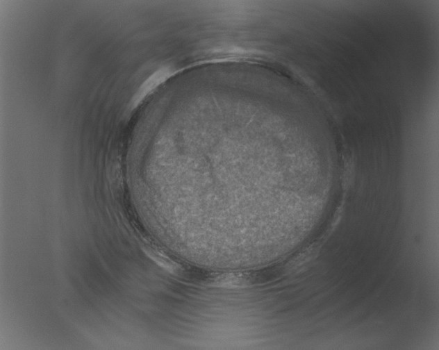 X0000076031259200610201818