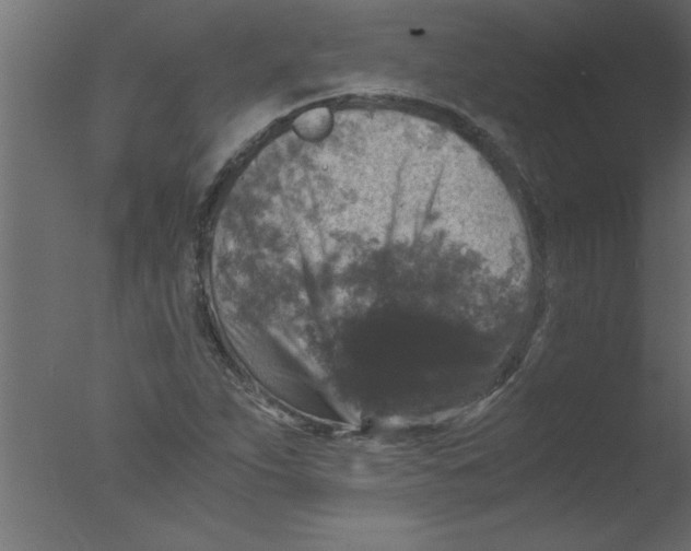 X0000076031263200610201818