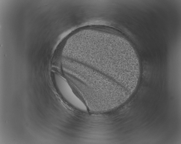 X0000076031264200610201818