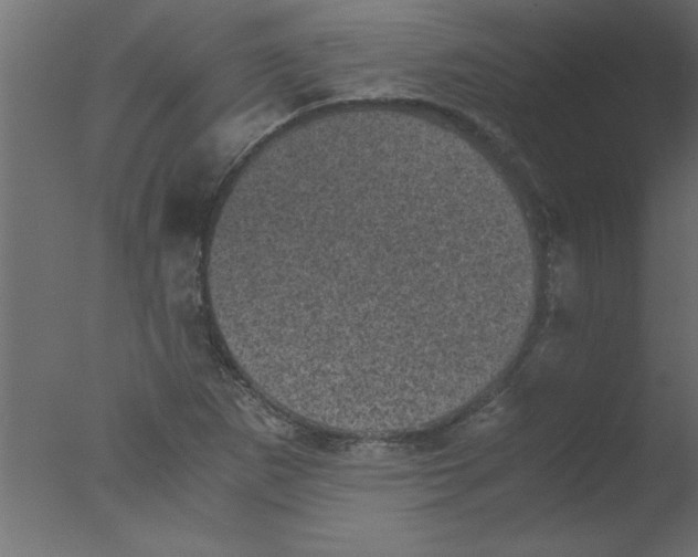 X0000076031265200610201818