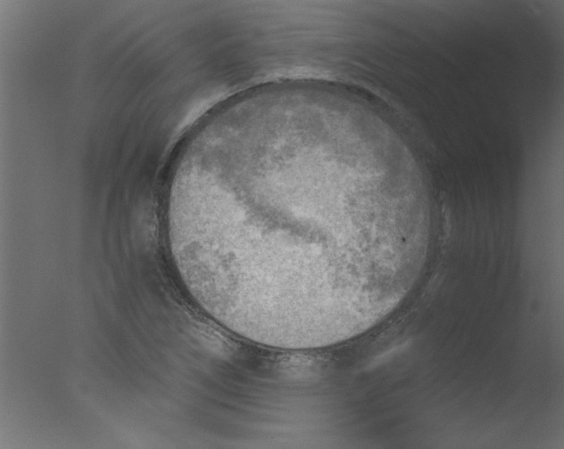 X0000076031266200610201818