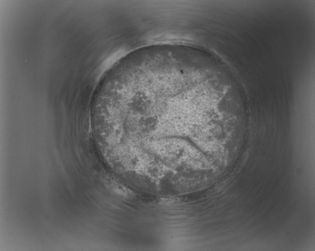 X0000076031267200610201818