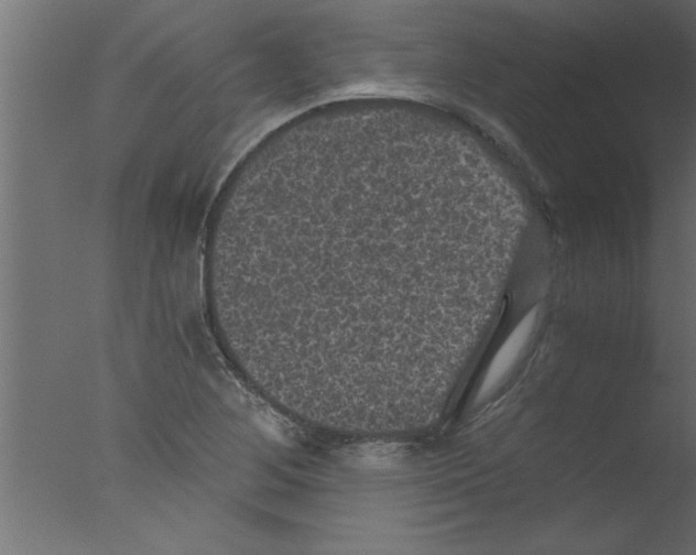 X0000076031268200610201818