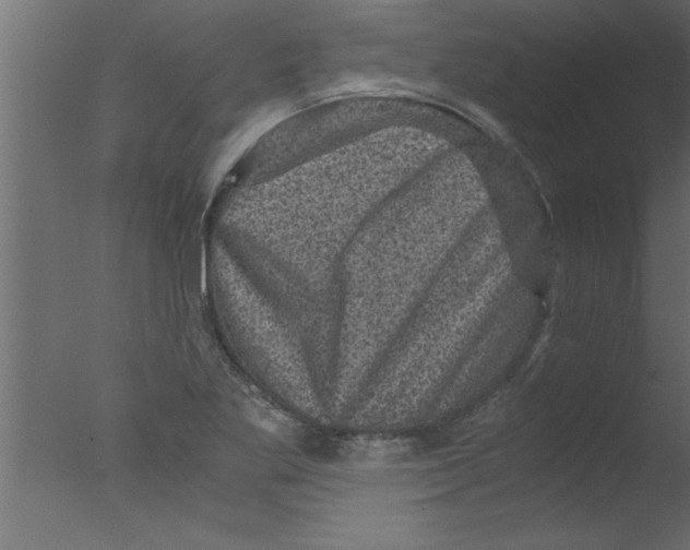 X0000076031269200610201818